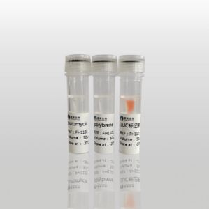 荧光素酶标记试剂盒