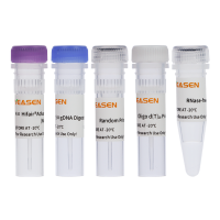 反转录试剂盒 AdvanceFast 1st Strand cDNA Synthesis Kit (No Dye)