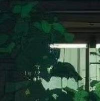 细胞培养移液器