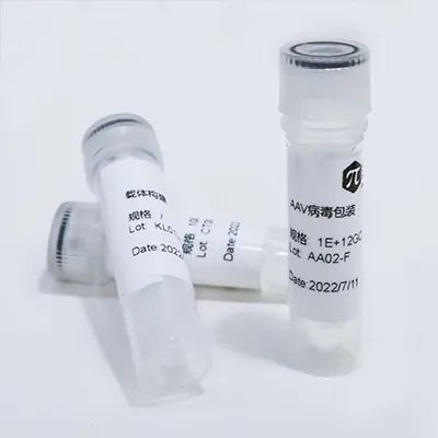 (试用)AAV.eM-MHCK7