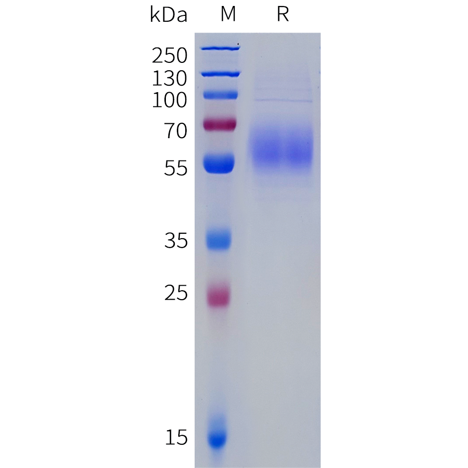 pme-c100104-st2-sp1.png