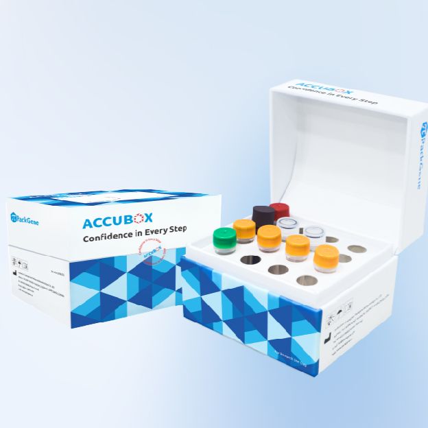 （试用）E.coli 残留DNA检测试剂盒（PCR-荧光探针法）