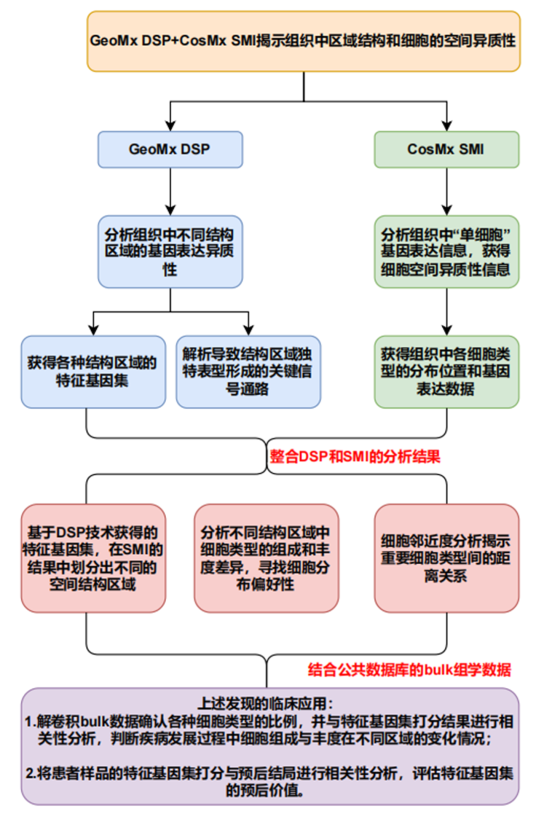 芯空一号快讯 | 空间组学：解码组织微环境，从区域到单细胞的完整视角
