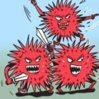 牛源性成分快速检测试剂盒