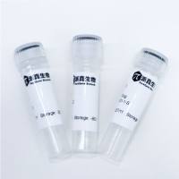 （试用）AAV.Zero