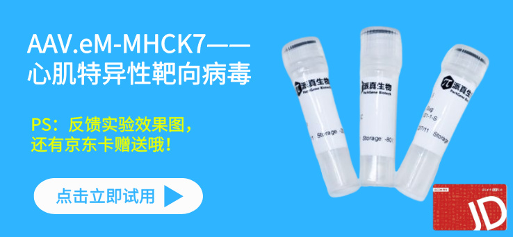 派真生物 26 年春季开学活动！