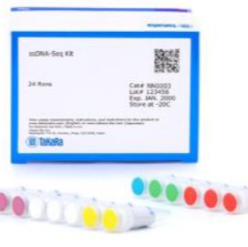 ssDNA-Seq Kit