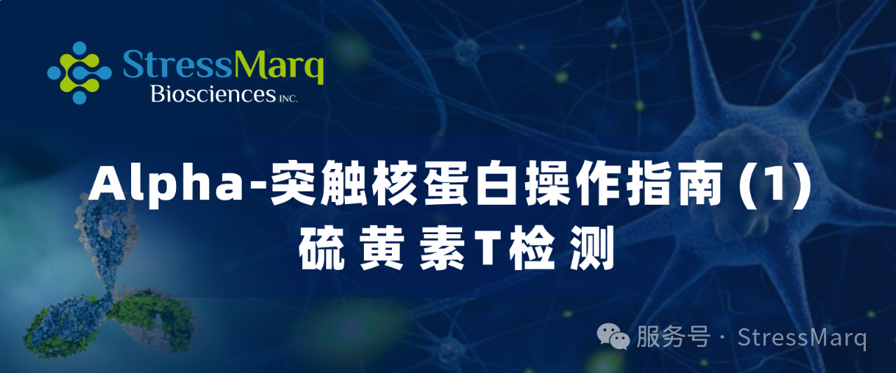 Alpha-突触核蛋白操作指南(1).png Alpha-突触核蛋白操作指南(1).png