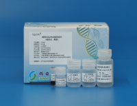 病毒 DNA/RNA提取试剂（磁珠法）