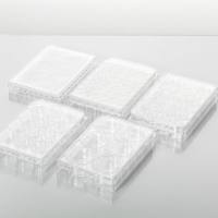 细胞培养板，48孔，平底，表面TC处理，无菌