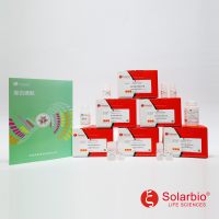 Ultra线粒体蛋白提取试剂盒