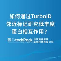 如何通过TurboID邻近标记研究低丰度蛋白相互作用？
