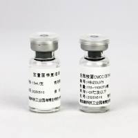 生孢梭菌CMCC(B)64941(定量菌株)