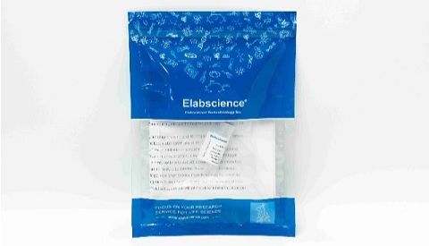 Elabscience促销活动：骏马迎春，开学放价