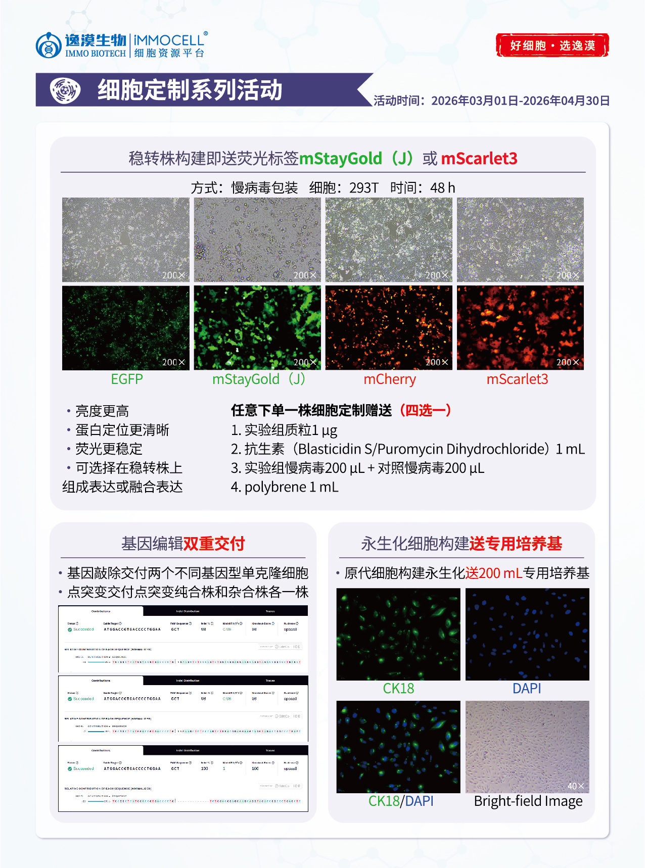 原代细胞构建永生化送200 mL专用培养基