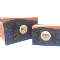 CTG-L™ 2D细胞活力检测试剂盒