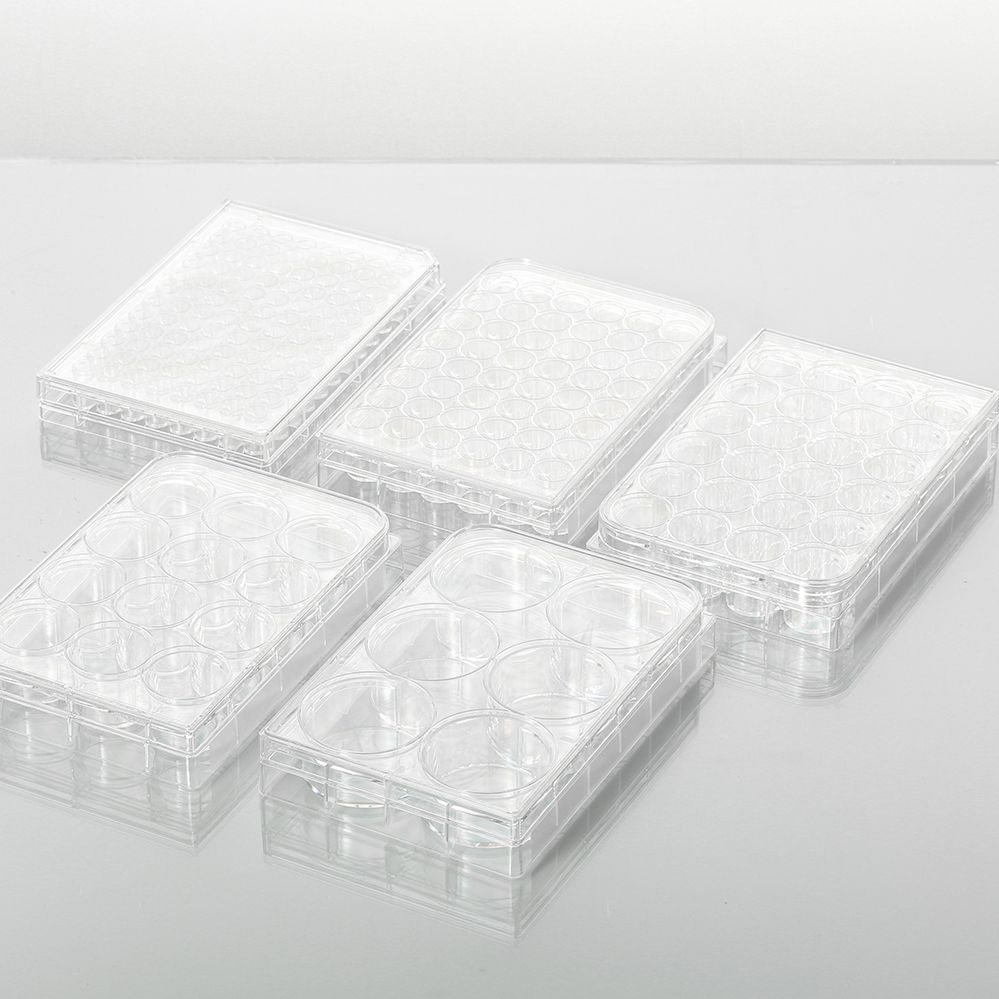 细胞培养板,12孔,平底,表面TC处理,无菌