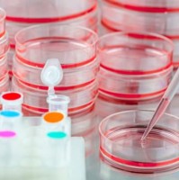 MycoSybr™ 支原体检测试剂盒（qPCR法）