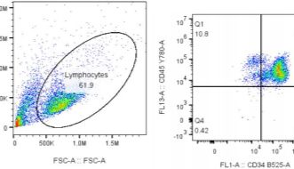 CD34+造血干细胞：造血研究的核心，临床应用的新航