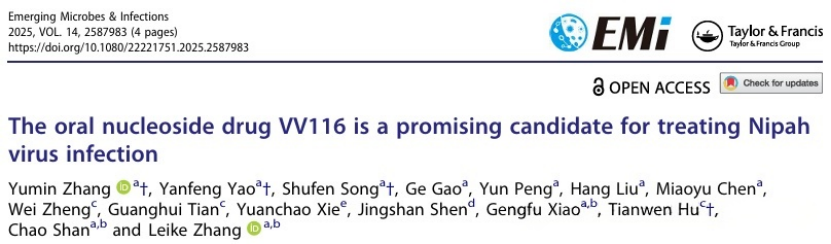 「DIFF CRO」文献速递：口服核苷类药物VV116对尼帕病毒具有显著的抗病毒活性