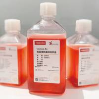 免疫细胞培养基