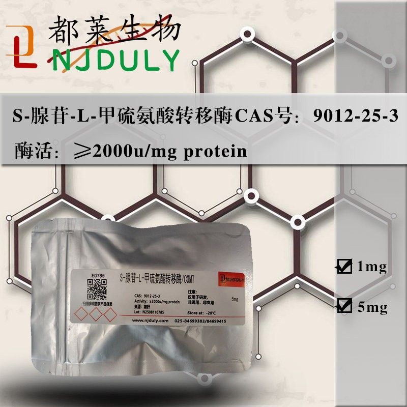 S-腺苷-L-甲硫氨酸转移酶
