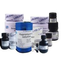 SD/-Leu-Trp with agar