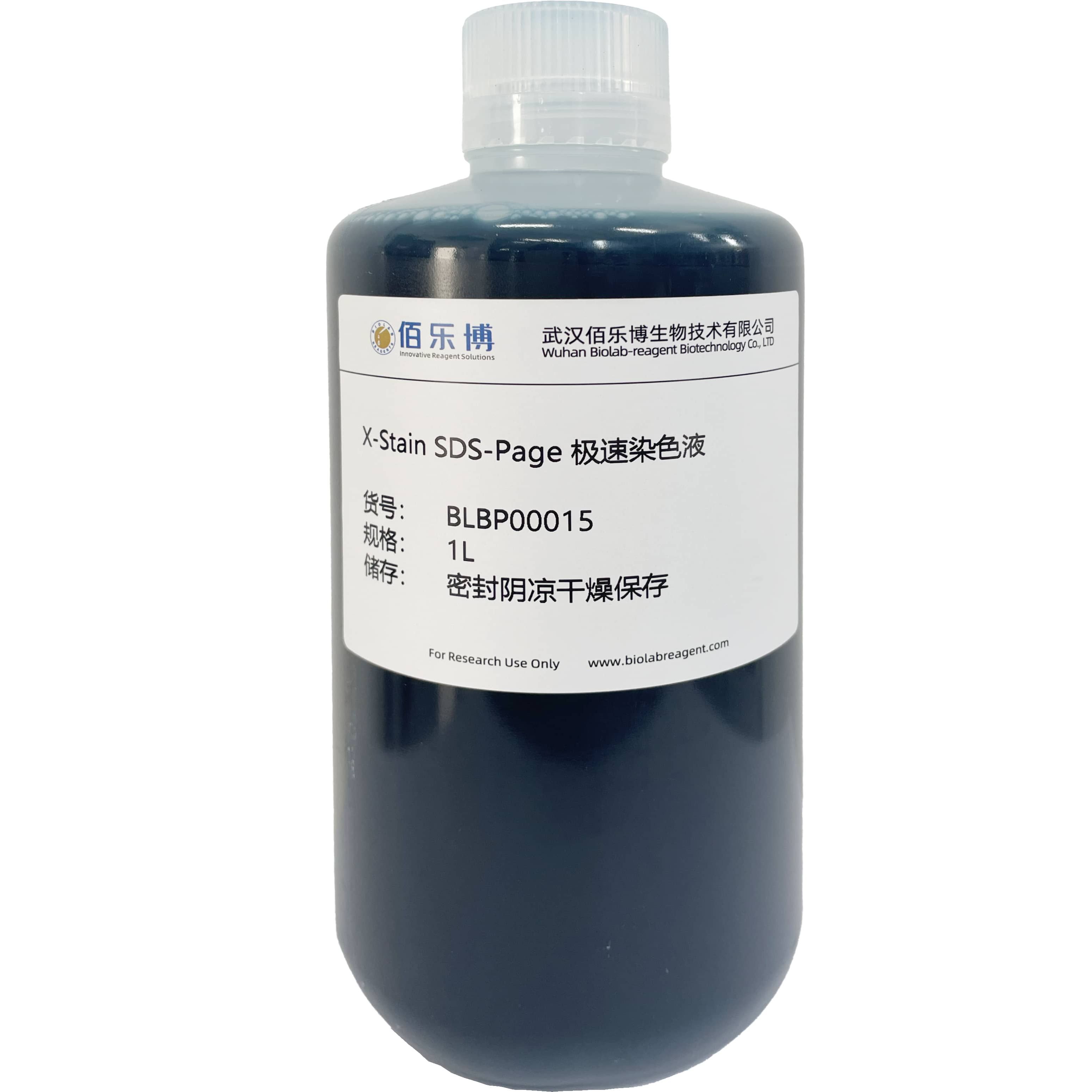 X-Stain SDS-Page 极速染色液试剂