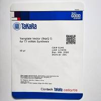 Template Vector (BspQ I) for T7 mRNA Synthesis