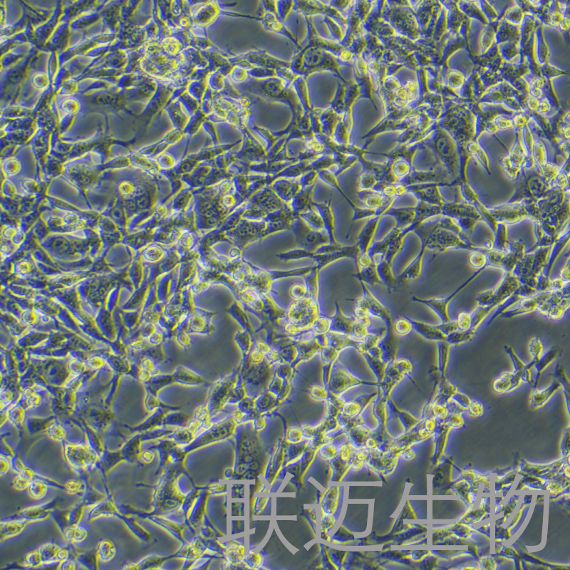产品细节图片1