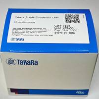 Takara Stable Competent Cells