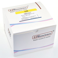 外泌体RNA提取试剂盒