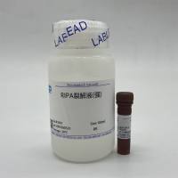 RIPA裂解液（强）