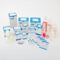 Human Cell-Free Protein Expression Master Mix for mRNA