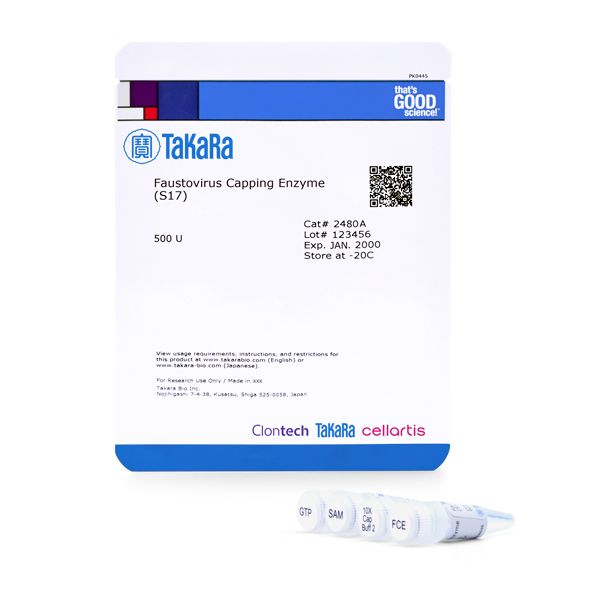 Faustovirus Capping Enzyme (S17)