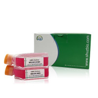 LA795（小鼠肺腺癌细胞） 