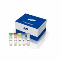 嗜热链球菌探针法qPCR试剂盒(不含内参）