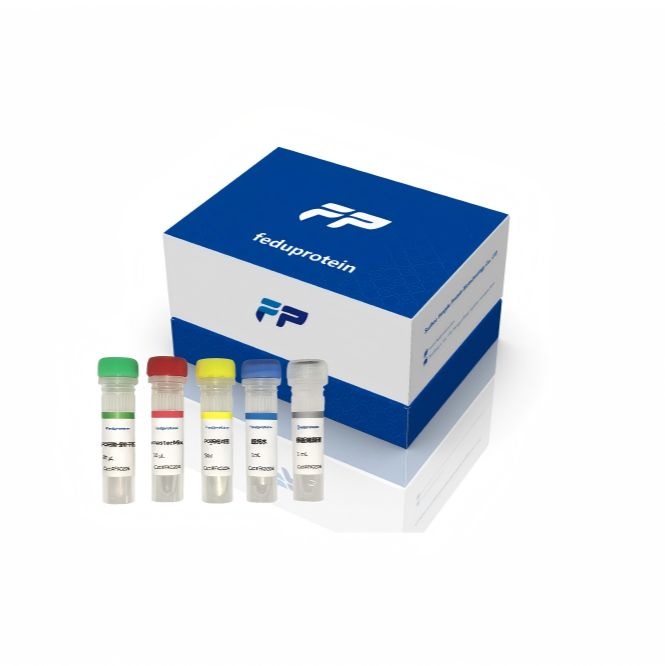 Vibrio parahaemolyticus探针法qPCR试剂盒(不含内参)