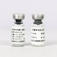 新洋葱伯克霍尔德菌CMCC(B)23006(定量菌株)