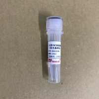 qPCR引物（已验证，现货）