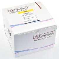 细胞上清外泌体提取试剂盒（用于粒径和电镜检测）