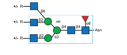 General Binding Motif结果.png