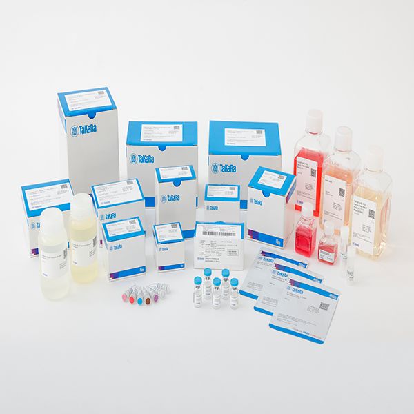 PrimeCap® T7 RNA Polymerase (low dsRNA),HQ