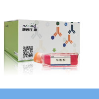 GL261(小鼠胶质瘤细胞)