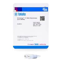 PrimeCap® T7 RNA Polymerase (low dsRNA)