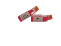 SHZ-88-luc-gfp细胞（大鼠乳腺癌细胞-荧光素酶标记）