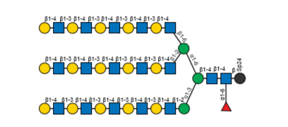 Top Structure on Array结构.png