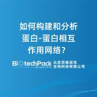 如何构建和分析蛋白-蛋白相互作用网络？