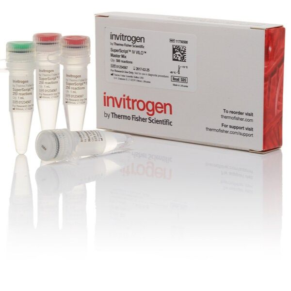 Invitrogen货号11756500现货SuperScript IV VILO预混液19121878899上海睿安生物