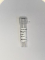 Kerafast抗体Anti-DNA-RNA Hybrid [S9.6] Antibody